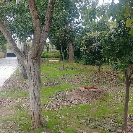 Lo Consegui * Bollullos de la Mitacion